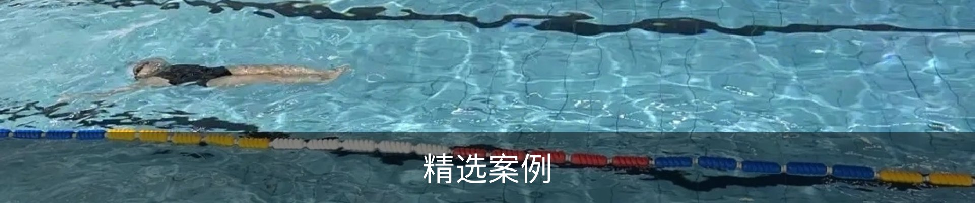 精选案例
